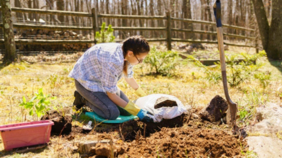 Adıyaman Tarım ve Orman İl Müdürlüğü'nden staj başvuru duyurusu
