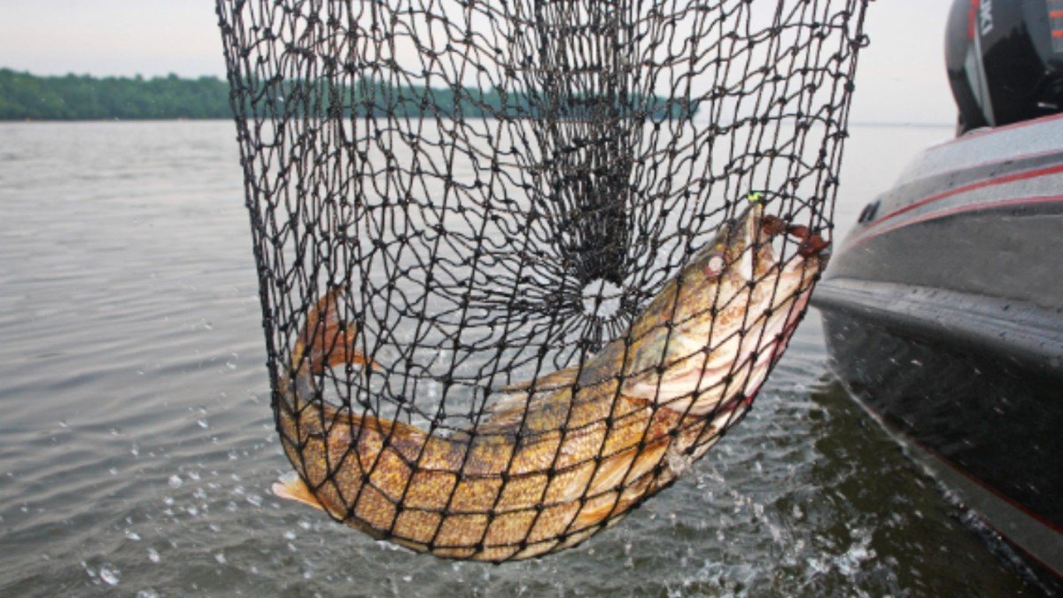 Adıyaman'da su ürünleri avcılığına 3 aylık yasak