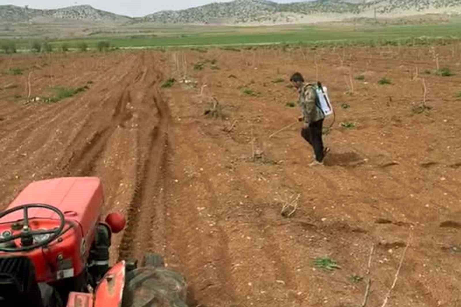 Araban'da Antep fıstığı tarlalarında yabancı otlarla ilaçlı mücadele