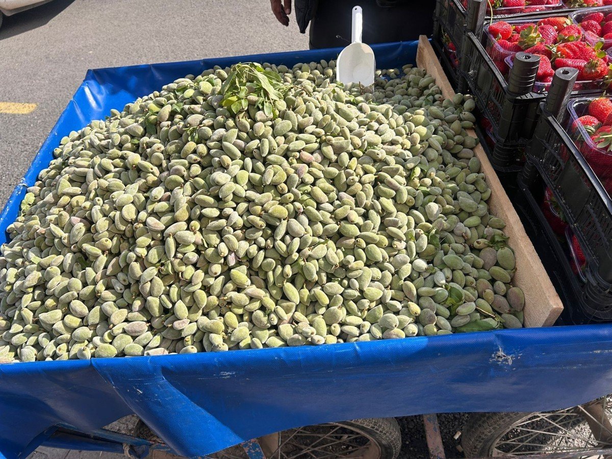 Badem, Adıyaman tezgahlarında yerini aldı - Videolu Haber