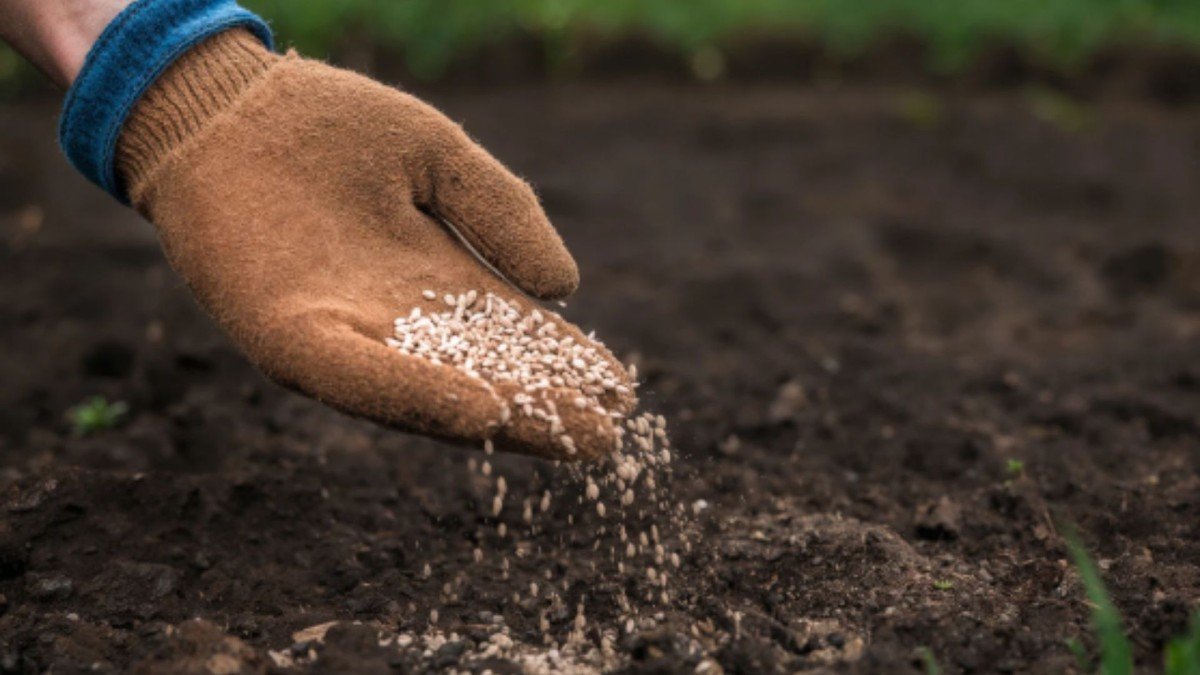 İletişim Başkanlığı'ndan 'Hürmüz Boğazı' iddialarına açıklama: 'Türkiye'de gübre krizi yok'