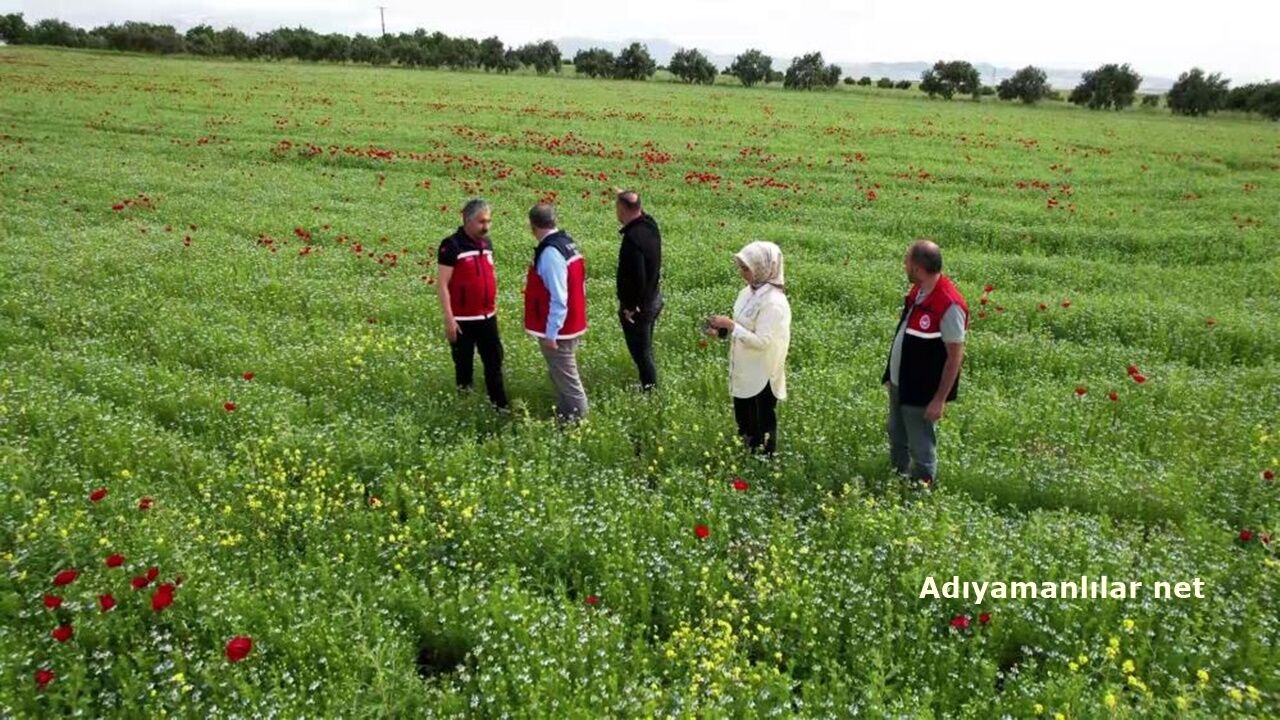 Adıyamanda Çiftçiler Alternetif Ürüne Yöneldiler