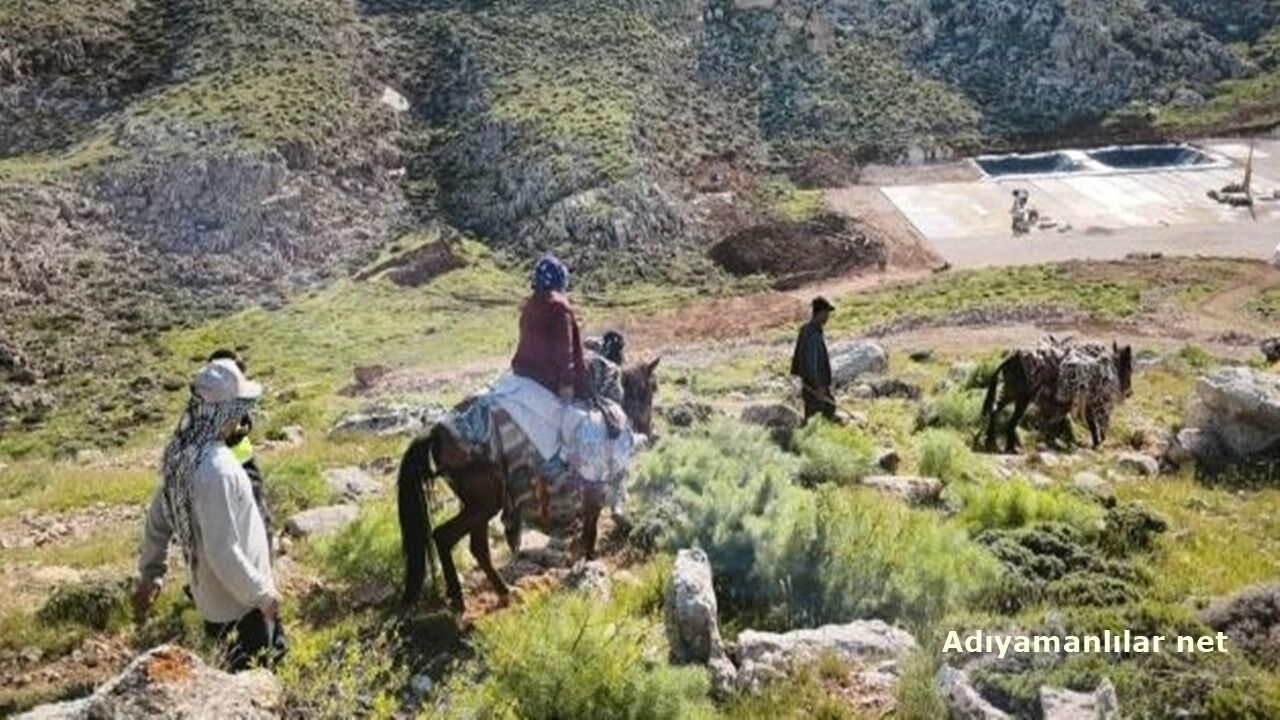Siirte Hastalanan Kişi Katir Ile Getirildi. 1