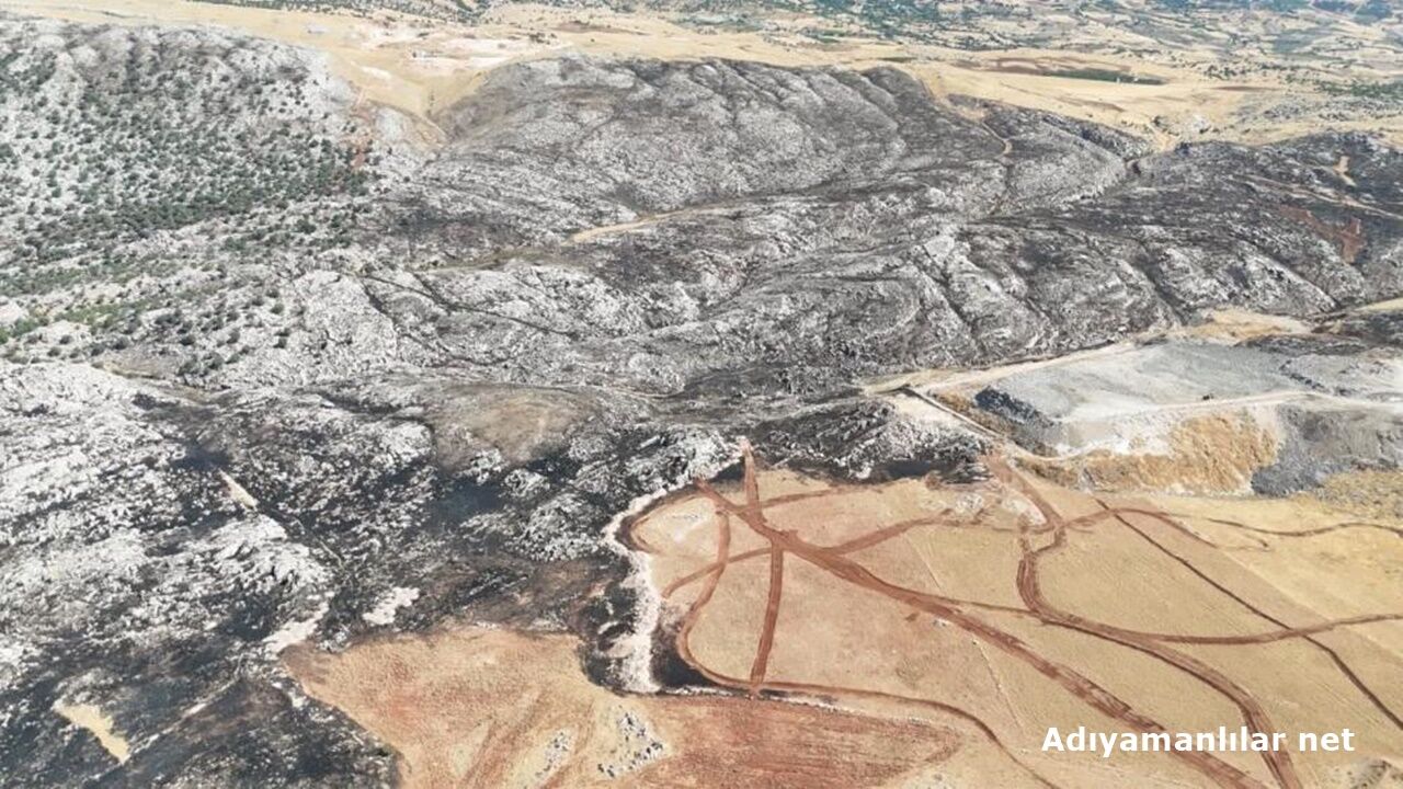 Adıyaman'daki Orman Yangını Sabaha Karşı Söndürüldü