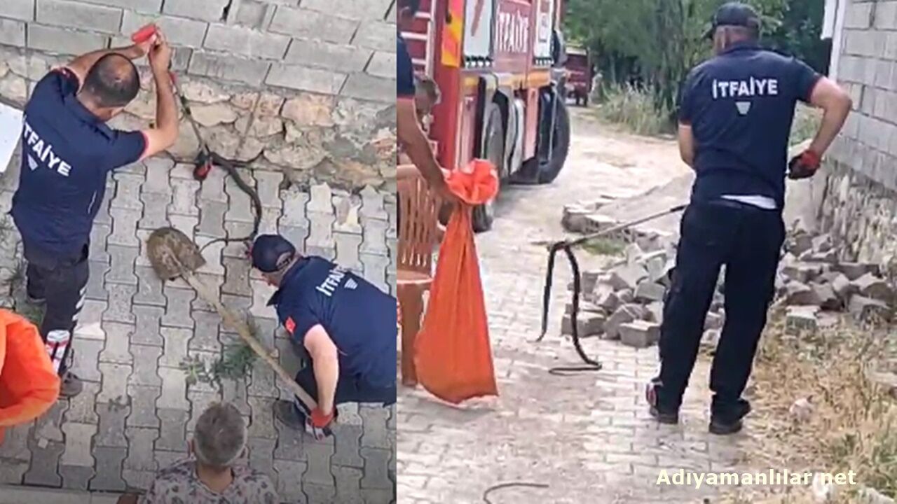Gölbaşı Ozan Köyü'nde Eve Girmeye Çalışan Yılanlar Yakalandı