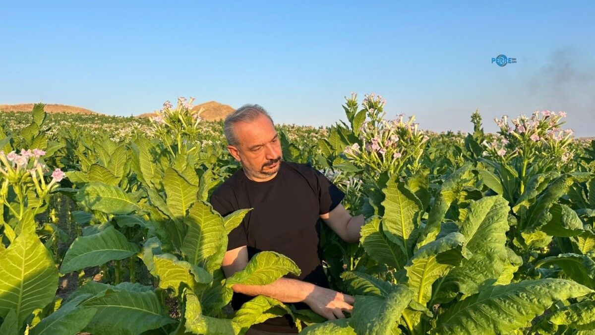 Adıyaman'da bademe makul bir fiyat, tütün üreticisine destek çağrısı