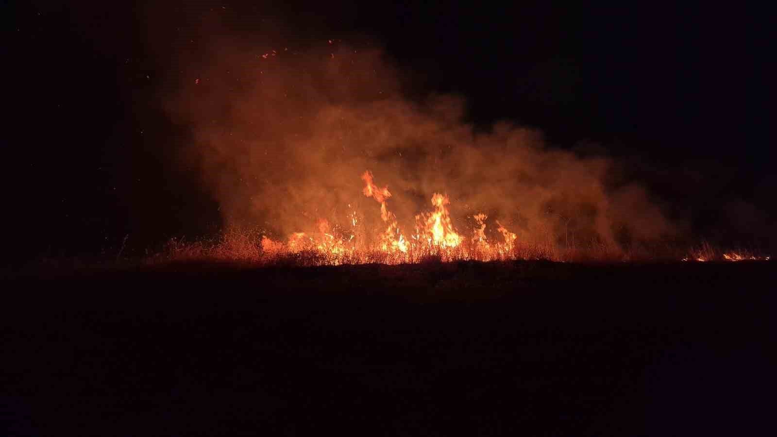 Adıyaman'da korkutan anız yangını