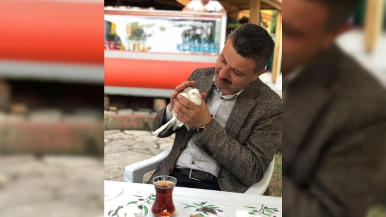 Ankara’dan kaçan güvercini Boyabat’ta belediye başkanı buldu