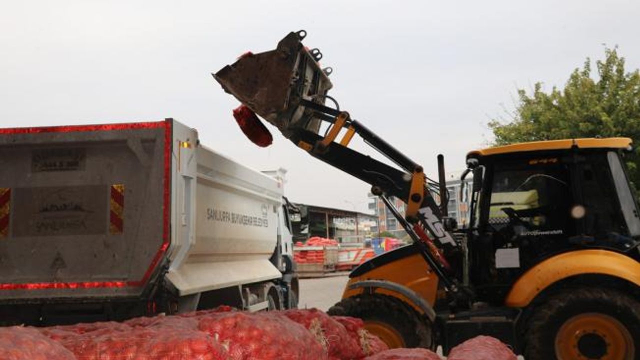 Zabıtadan denetim, çürümüş 22 ton soğan imha edildi - Videolu Haber 
