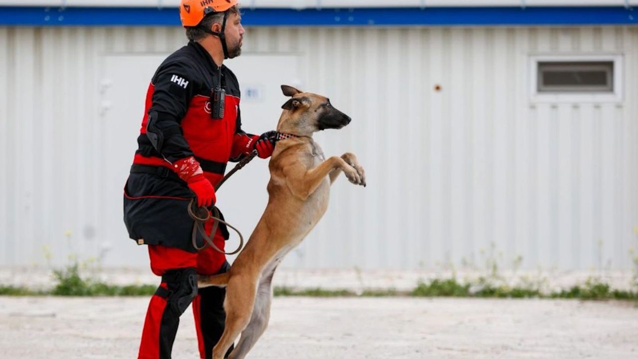 İHH’nın arama kurtarma köpekleri 50 kişinin kurtulmasına vesile oldu  - Videolu Haber