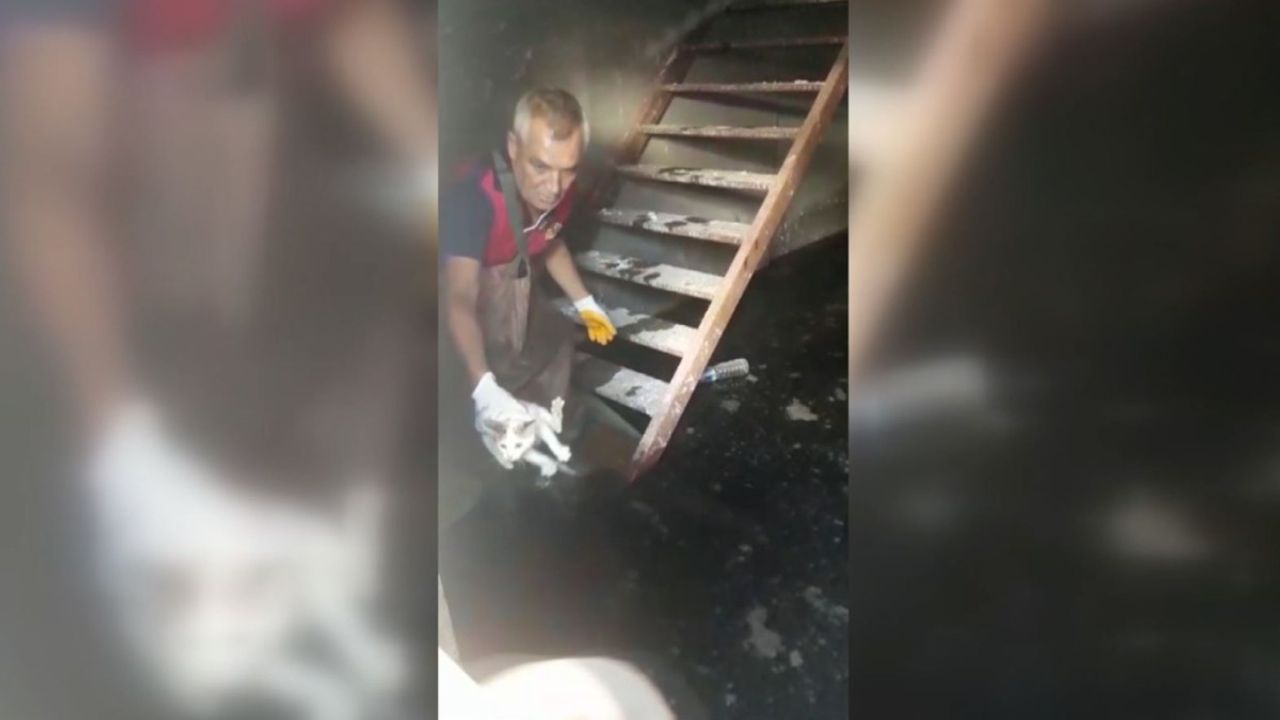 Mahsur kalan yavru kediyi itfaiye kurtardı  - Videolu Haber