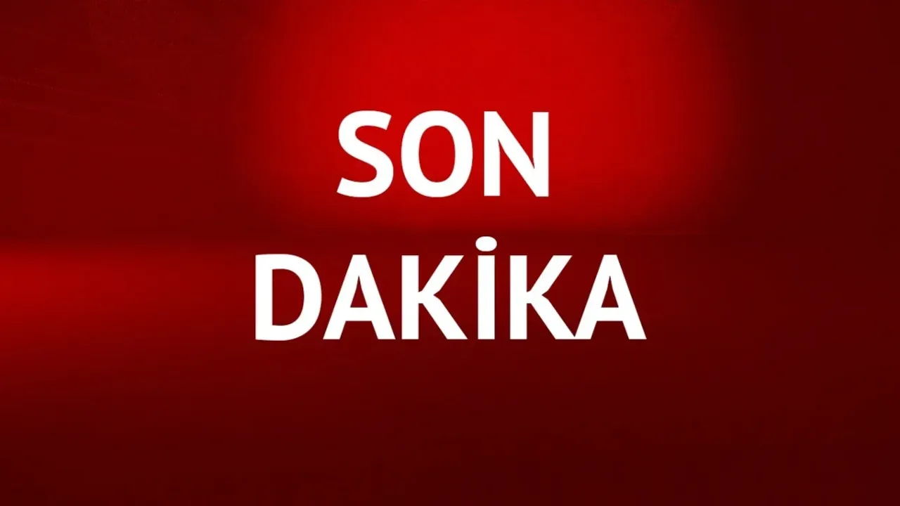 PKK'ya erzak taşıyan 2 şüpheli tutuklandı 