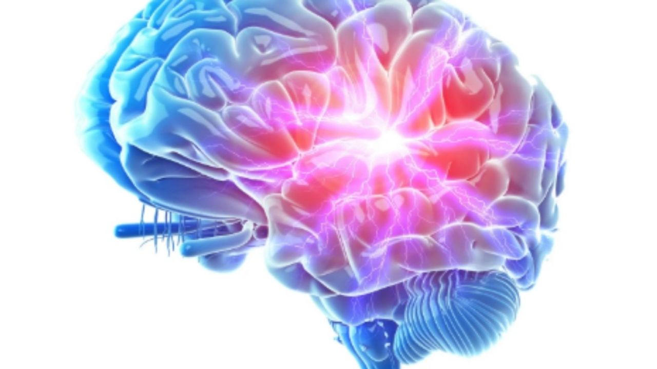 Türkiye'nin 'IQ haritası' güncellendi: Zirve Eskişehir'in, Adıyaman listede yok