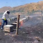 Adıyaman'da otluk alan yangını 200 arı kovanını kül etti