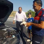 Otomobilin motoruna sıkışan kedi kurtarıldı