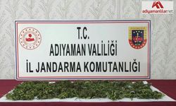 Adıyaman'da uyuşturucu operasyonu