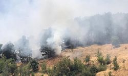 Adıyaman'da ormanlık alanda korkutan yangın - Videolu Haber