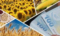 972 milyon liralık tarımsal destek hesaplara yatırılıyor