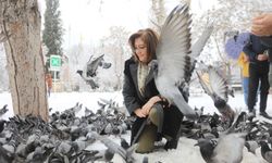 Başkan Fatma Şahin sokak hayvanlarını besledi