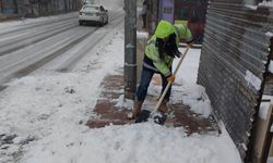 Besni'de kar temizleme çalışmaları devam ediyor