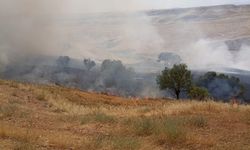 Adıyaman'da yüzlerce dönüm ekili tarım arazisi yandı  - Videolu Haber