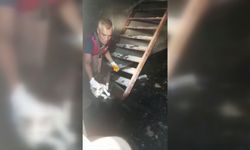 Mahsur kalan yavru kediyi itfaiye kurtardı  - Videolu Haber