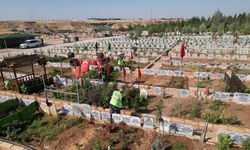 Asri mezarlığında temizlik ve çevre düzenlemesi yapılıyor 