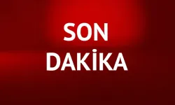 PKK'ya erzak taşıyan 2 şüpheli tutuklandı 