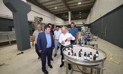 Vali Varol, 'Tarım Mükemmeliyet Merkezi'nde incelemede bulundu 