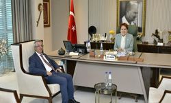 Başkan Türk: Türk milliyetçiliğinin mahkûm edilmesine geçit vermeyeceğiz