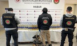 Habur Gümrük Kapısı'nda zehir operasyonu