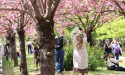 İstanbul'da 'Japon Bahçesi'ne yoğun ilgi