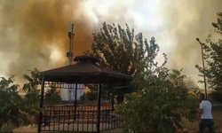 AFAD binası etrafında büyük bir yangın çıktı  - Videolu Haber