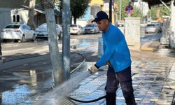 Adıyaman'da 3 mahallede temizlik hareketi