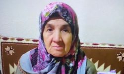 Sincik'te  talihsiz kaza: 75 yaşındaki kadın hayatını kaybetti
