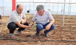 Tarımda yeni dönem başlıyor  - Videolu Haber