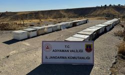 Adıyaman'da 35 arı kovanı hırsızlığına 1 gözaltı 