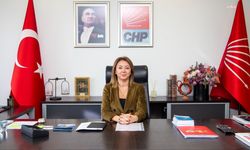 CHP'li Çiftci'den Ahmet Özer gözaltısına tepki: 'Açık kaynaktan elde edilen bilgiler suç ögesi gibi gösteriliyor' 