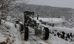 Artvin'de kar 125 köye ulaşımı kesti!