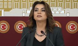 DEM Parti Grup Başkanvekili Gülistan Kılıç Koçyiğit’ten Yenidoğan Çetesi Davası eleştirisi 