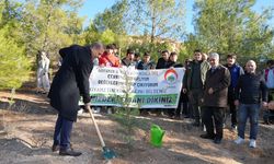 Adıyaman’da ÇEDES Projesi Kapsamında fidan dikim etkinliği gerçekleştirildi