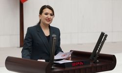 CHP’li Gökçe Gökçen’den Bakan Göktaş’a 'Çocuk Evlilikleri Hakkında Soru Önergesi' 