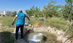 Adıyaman Belediyesi’nden yaz öncesi uçkunla mücadele seferberliği 