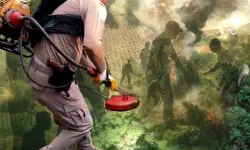 Zehir tacirlerine geçit verilmedi! Milyonlarca kök kenevir ele geçirildi