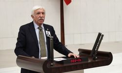 DEM Parti, TBMM Başkanlığı İçin Cengiz Çandar’ı aday gösteriyor 