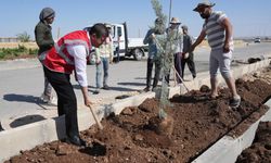 Başkan Tutdere, Mersin Caddesi ve Örenli Mahallesi’ndeki dönüşüm çalışmalarını yerinde inceledi  - Videolu Haber