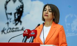 CHP’li Gamze Taşcıer’den intihar raporu: ‘2003-2024 arasında 71 bin 928 yurttaş yaşamına son verdi’ 
