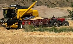 TMO hububat alım fiyatlarını açıkladı: Adıyaman’da destek ödemeleriyle buğday 16.020 TL’ye kadar yükselecek 