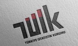 TÜİK verileri: Tarım ürünleri üretici fiyat endeksi yıllık yüzde 28,96 arttı 