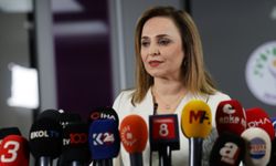 DEM Parti'den silah bırakma töreni açıklaması: 'Bu yalnızca bizim değil, Türkiye'nin meselesidir' 